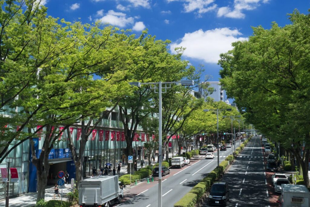 美しい新緑の並木が続く、洗練された都市の通り